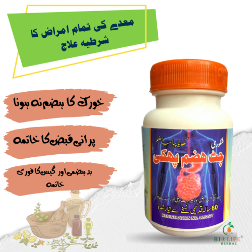 Chat Hazam Phakki  50 Gms  Support Your Digestive Health with – All-Natural Digestive Powder.